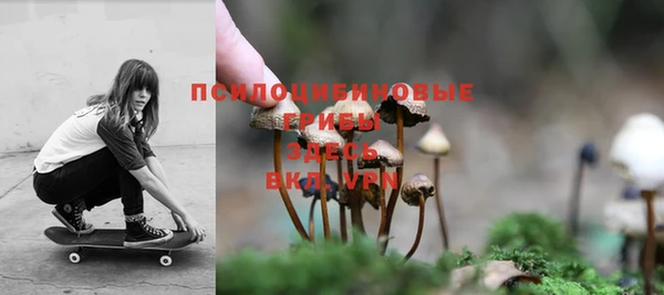 спиды Абаза