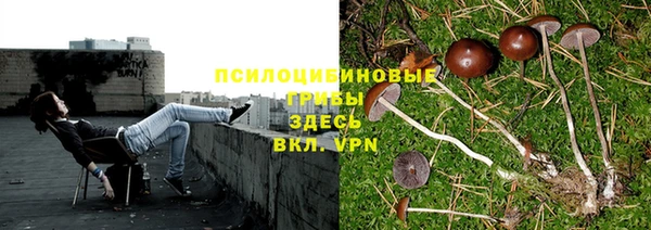 apvp Абинск