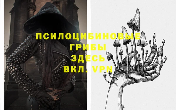 спиды Абаза