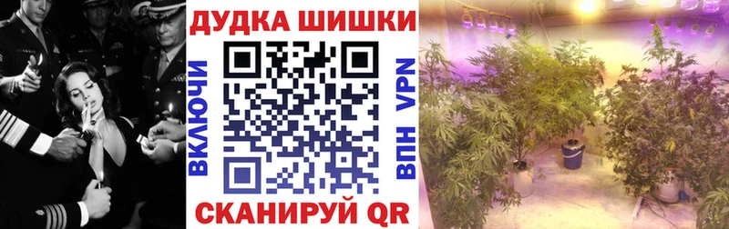 Бошки Шишки гибрид цены Каменногорск